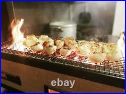 Japan Yakitori BBQ Diatomite Charcoal Grill Barbecue Hibachi Konro 54 x 23cm NEW