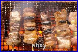 Japan Yakitori BBQ Diatomite Charcoal Grill Barbecue Hibachi Konro 54 x 23cm NEW