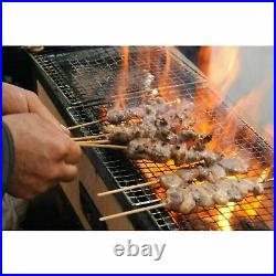 NEW Japan Yakitori BBQ Diatomite Charcoal Grill Barbecue Hibachi Konro