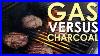 The_Art_Of_Grilling_Gas_Vs_Charcoal_Grills_01_fx